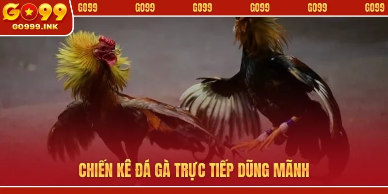 Chiến kê đá gà trực tiếp dũng mãnh